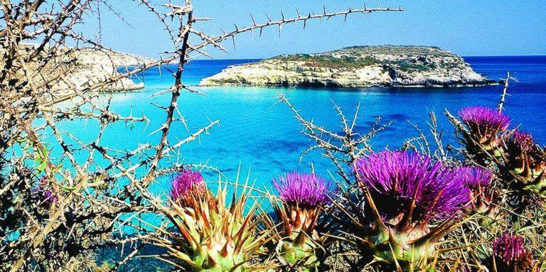 B&B Plaza Lampedusa Luaran gambar